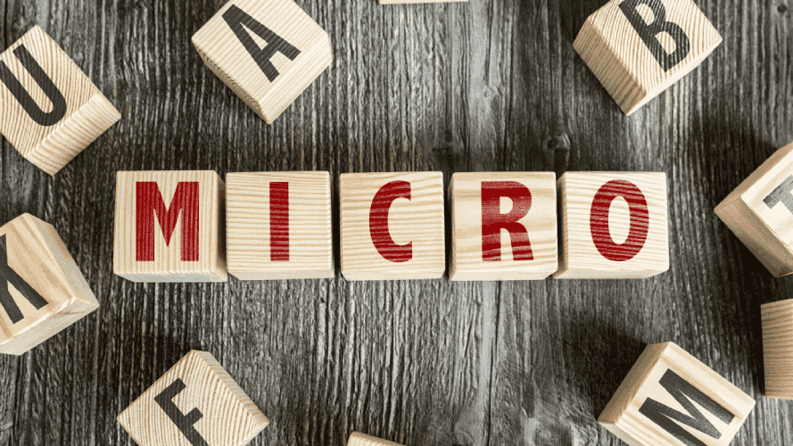 What is a Micro Business and How to Start it?
