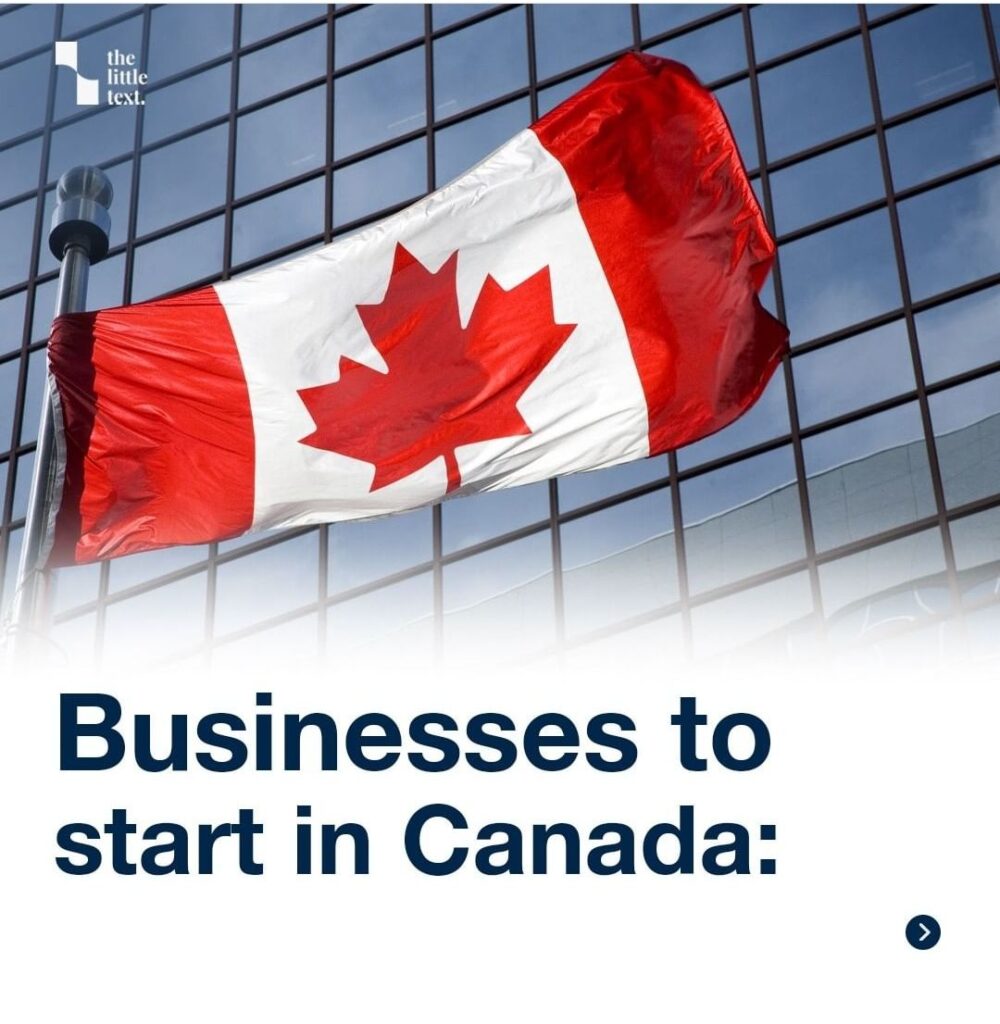 https://thelittletext.com/business-ideas-in-canada/