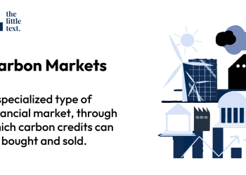 Carbon Market Capitalism